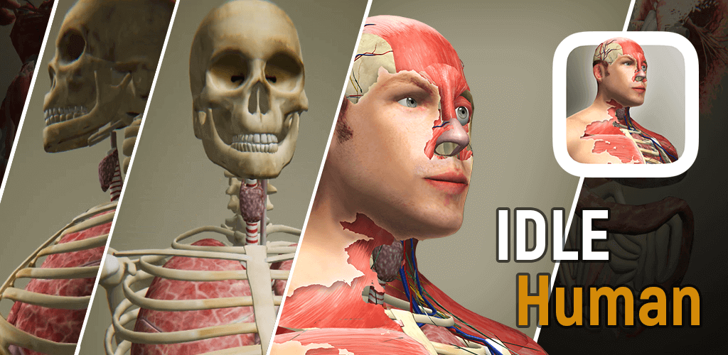 Idle Human MOD APK v1.23.6 Download (Idle Game, Unlimited Diamonds)