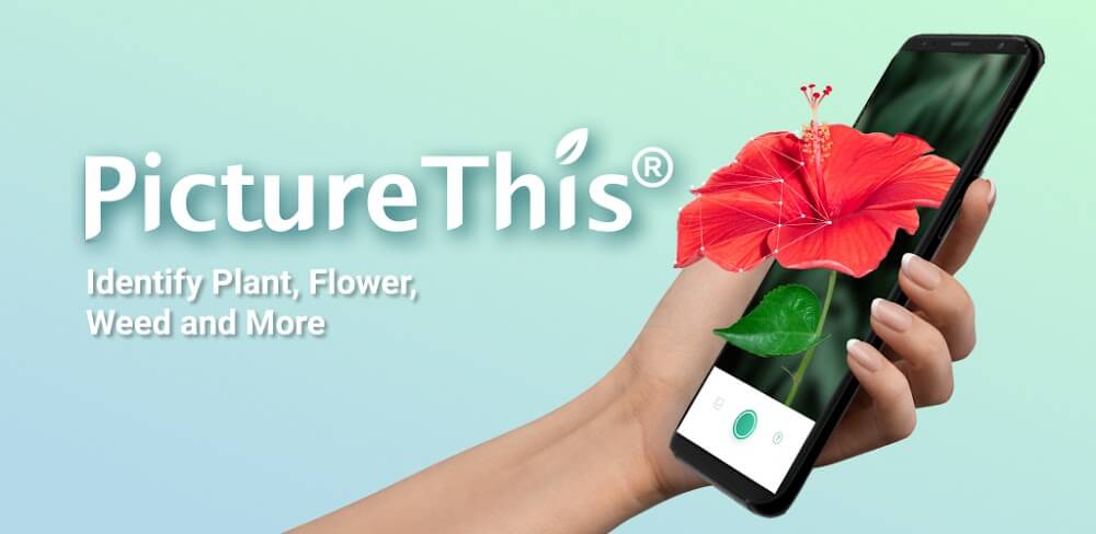 PictureThis v5.20.0 MOD APK Download (Utilities APP)