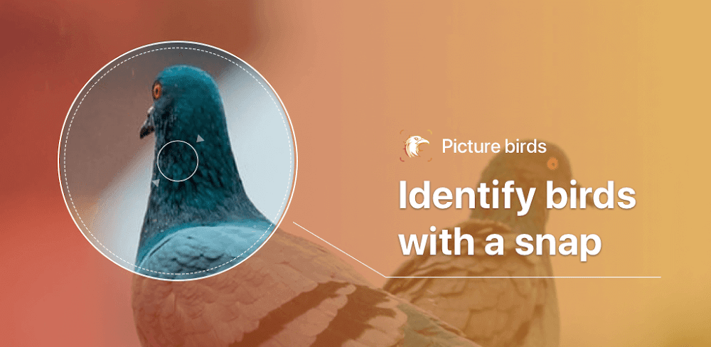 Picture Bird v2.9.32 MOD APK Download (Bird Identifier Premium Unlocked)