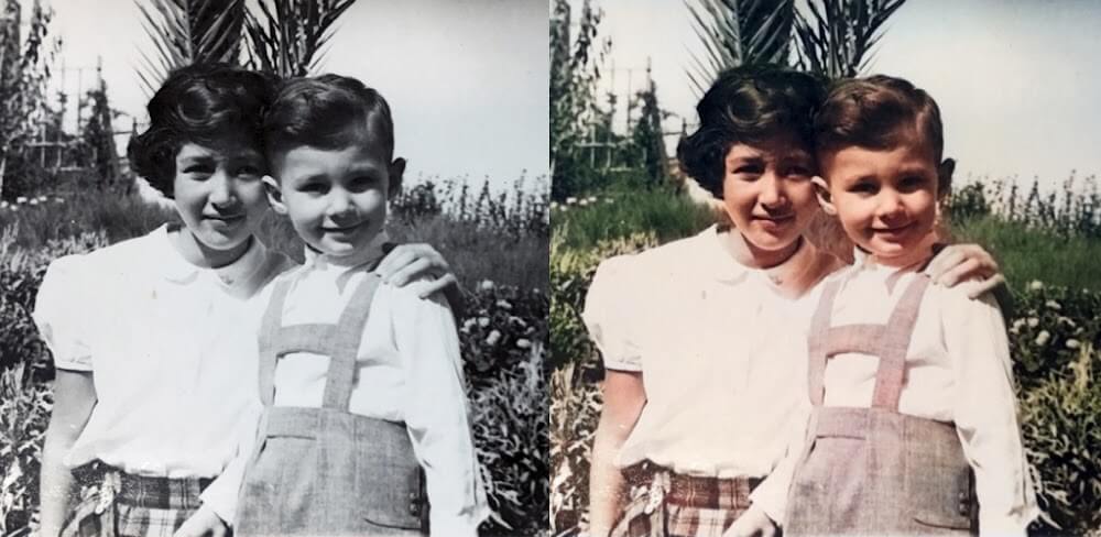 Colorize MOD APK v3.10 (Premium Unlocked) Download