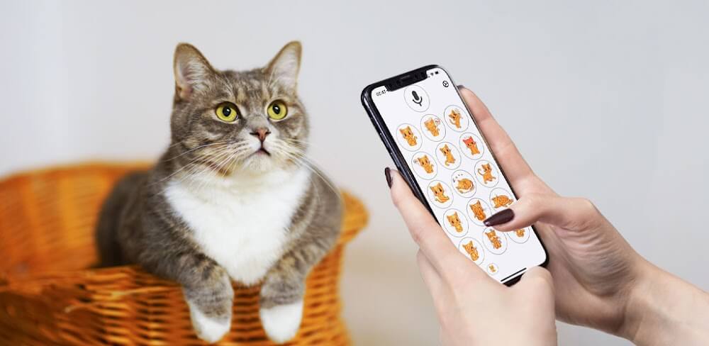 Human to Cat Translator MOD APK v1.0.24 (Premium Unlocked) Download