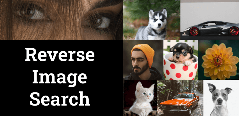 Photo Sherlock v1.131 MOD APK Free Download (Utilities)