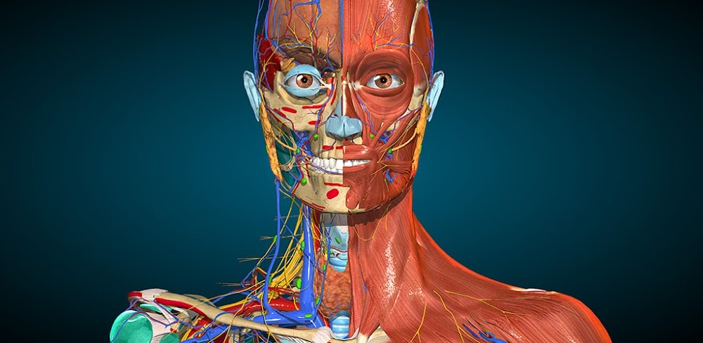 Anatomy Learning 3D Anatomy v3.1.500 MOD APK Full version Unlocked Download