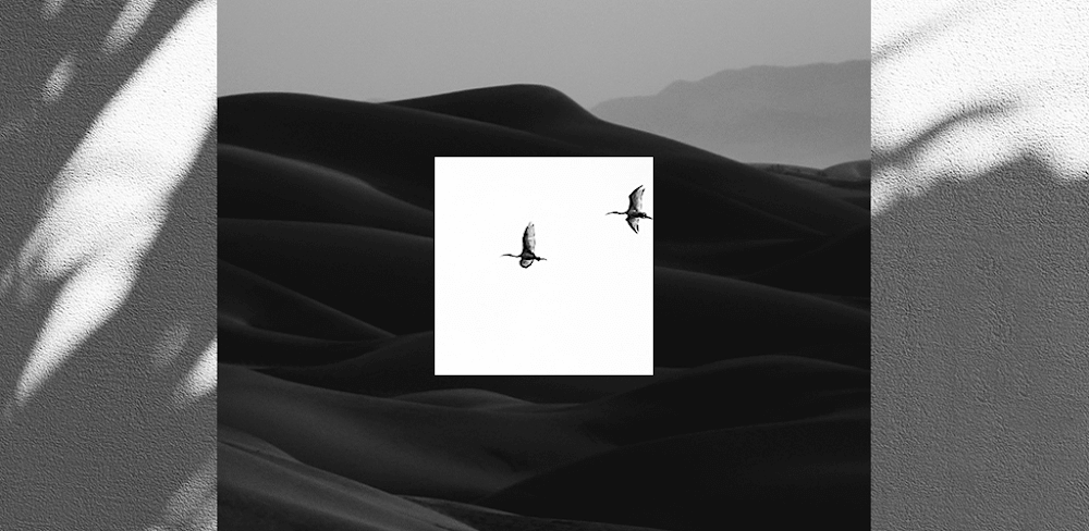 EPIK Photo Editor v7.0.114 MOD APK Download