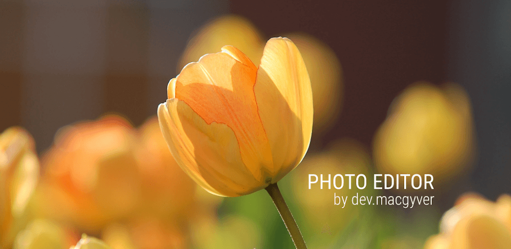 Photo Editor v12.6 MOD APK Pro Unlocked Download