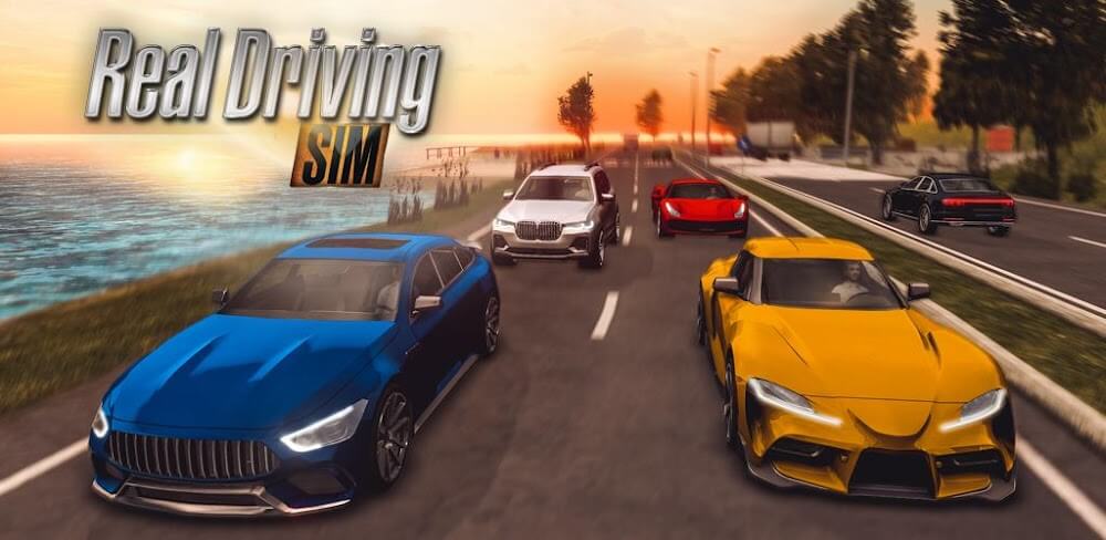 Real Driving Sim v6.1.1 MOD APK Game Download