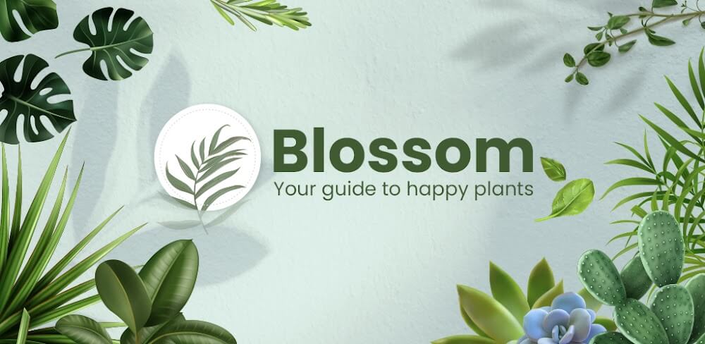 Blossom v1.56.4 MOD APK Download (Premium Unlocked Utilities)