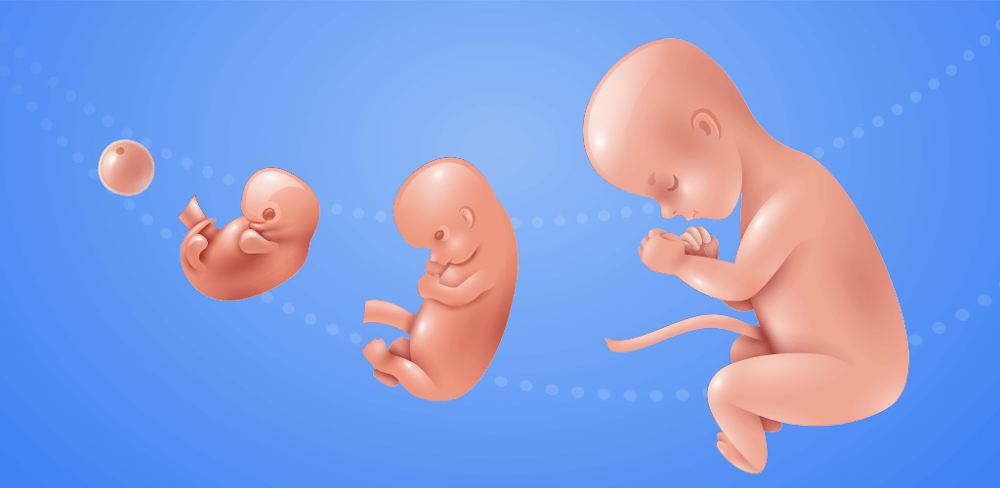 Idle 9 Months v1.41.7 MOD APK Game Download