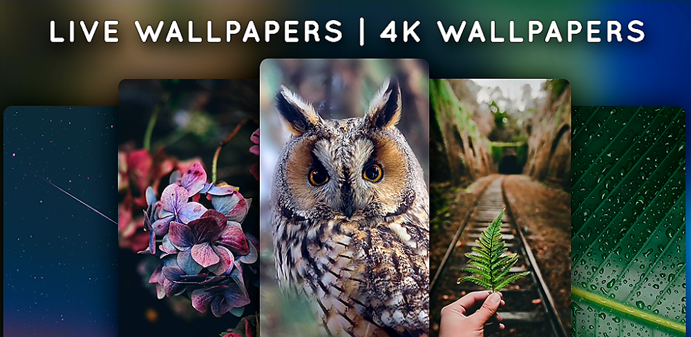 Live Wallpapers v5.6.1 MOD APK (Premium Unlocked) Download
