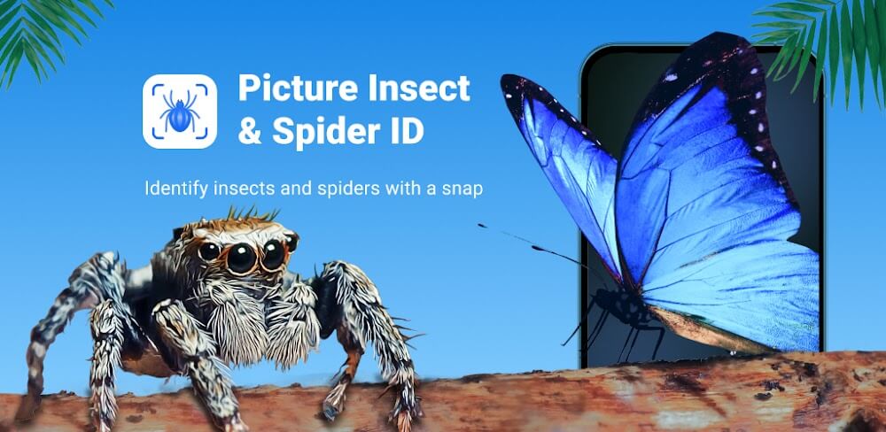 Picture Insect MOD APK v2.9.0 Download (Premium Unlocked) Utility App