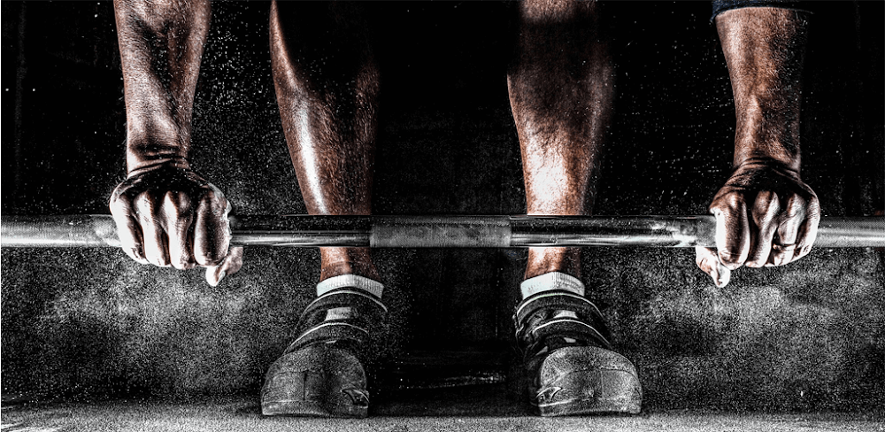 GymUp PRO v11.43 MOD APK Download