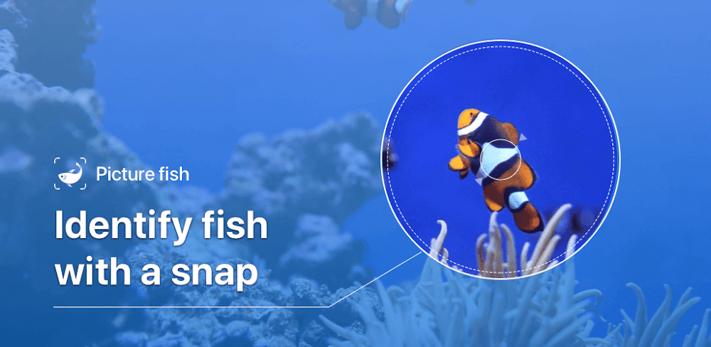 Picture Fish v2.4.23 MOD APK (Fish Identifier Premium Unlocked) Download