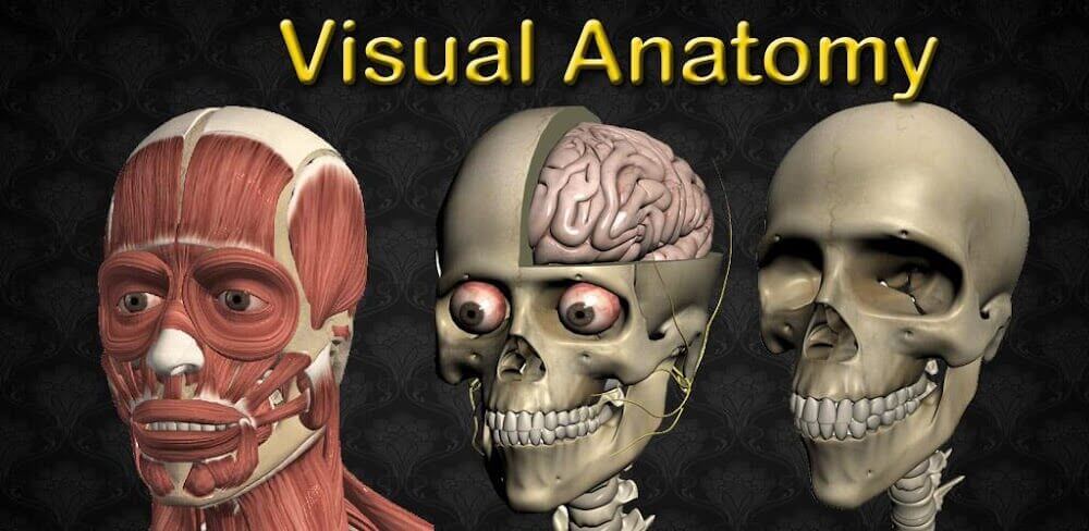 Visual Anatomy 2 MOD APK v0 b43 Download