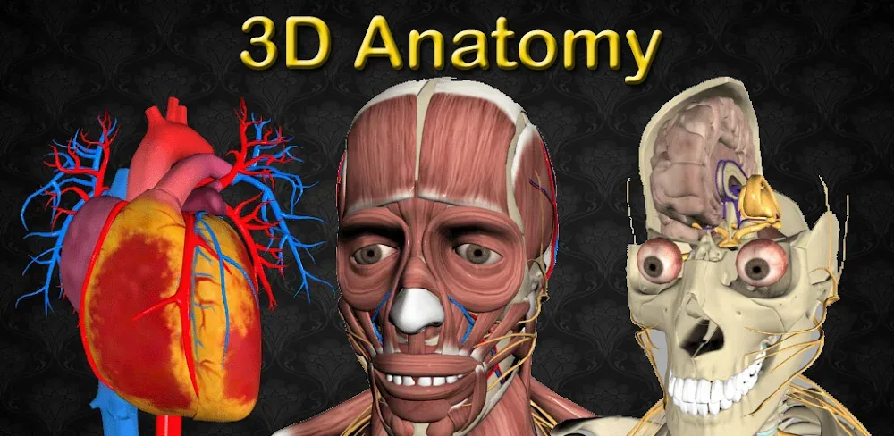 3D Anatomy v7.0 APK MOD Download Full Version Unlocked