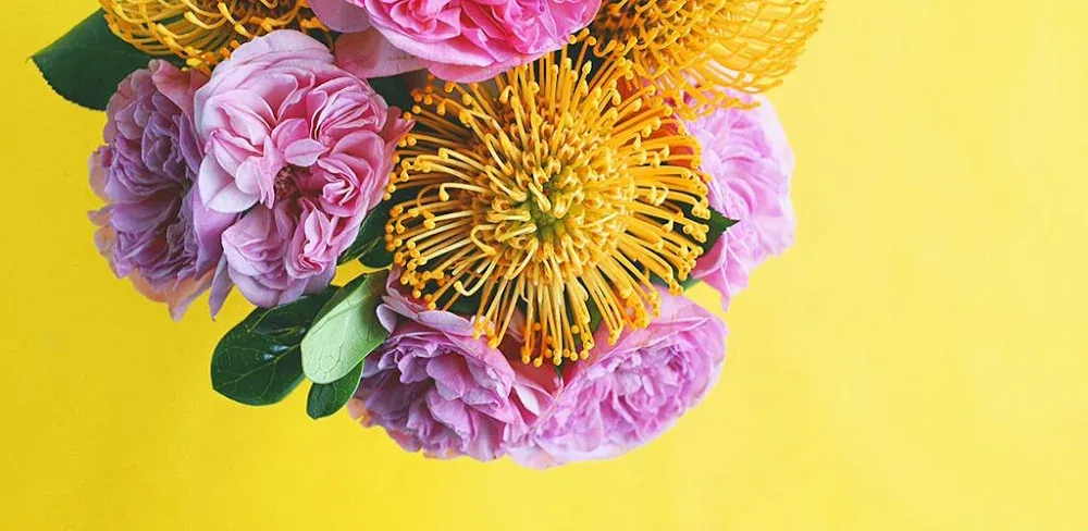 A Color Story v3.11.5 MOD APK Download