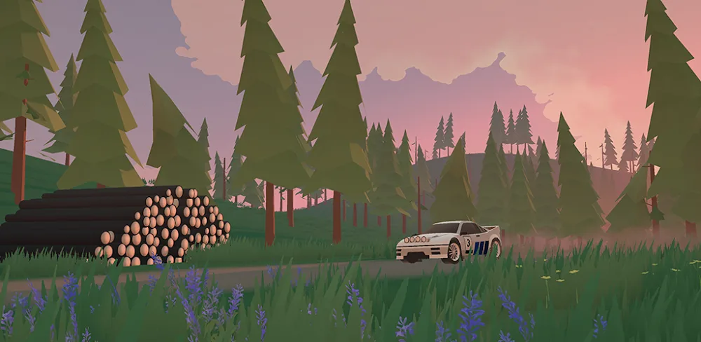 N3Rally v3.2.2 MOD APK Game Download (Free Purchases)