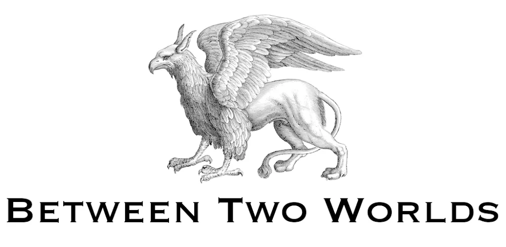 Between Two Worlds v1.0.10 MOD APK (Unlocked, No Ads) Download