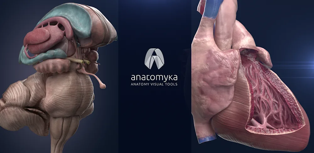 Anatomyka Atlas v3.3.0 MOD APK Premium Unlocked Download