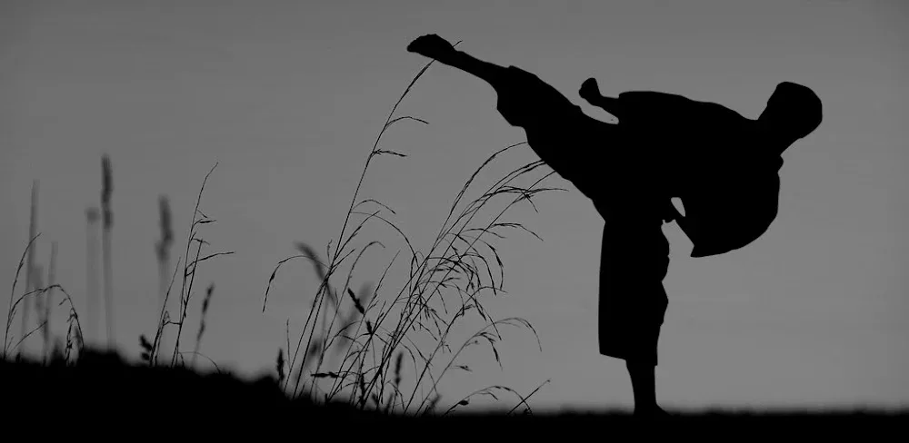 Flexibility for Fighters v2.22 MOD APK Download (Premium Unlocked)