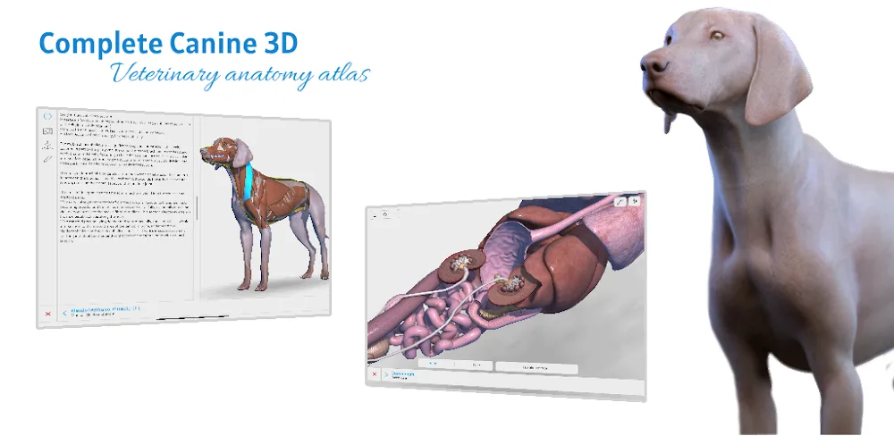 Complete Canine 3D - anatomy v1.73 MOD APK Download