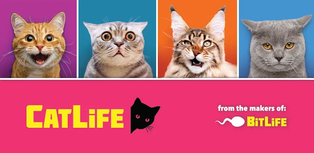 BitLife Cats - CatLife v1.8.5 MOD APK Download No ADS